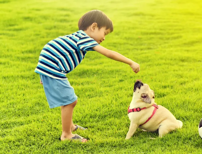Little brunette boy is playing with his puppy at a park.